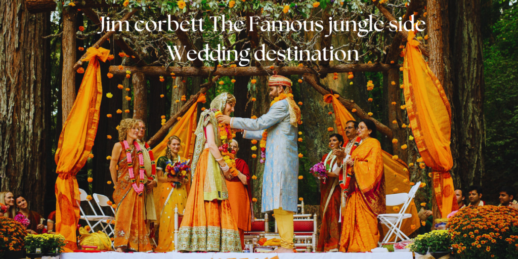 Jim corbett The Famous jungle side Wedding destination