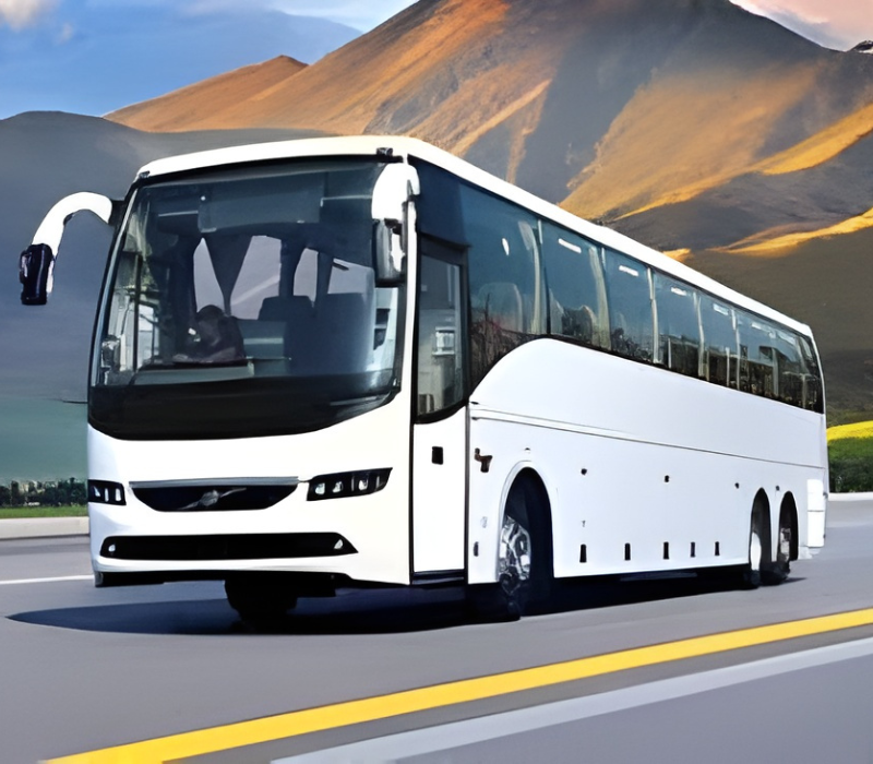 Logistics & Transport Management for wedding.